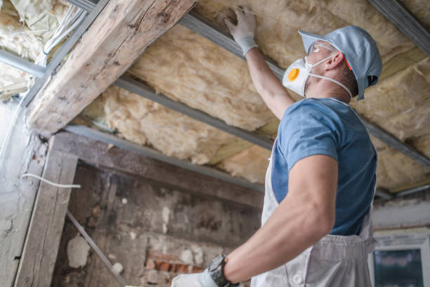 Best Fiberglass Insulation  in Syosset, NY