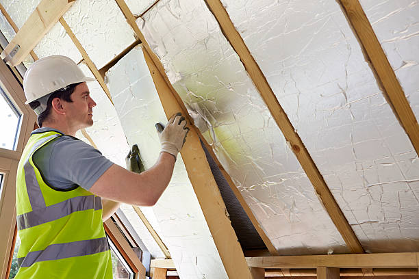 Best Cellulose Insulation  in Syosset, NY